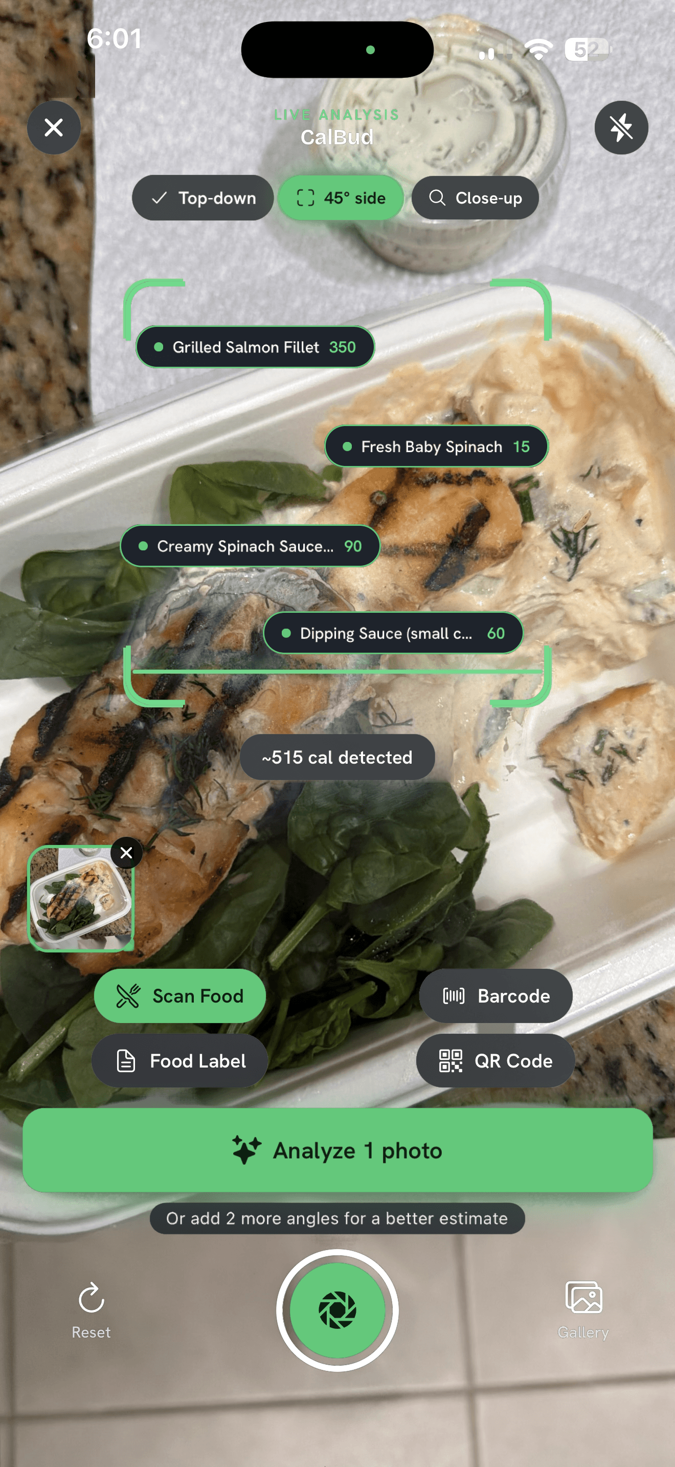 CalBud AI recognising salmon, spinach and sauces from a single photo and totalling the calories